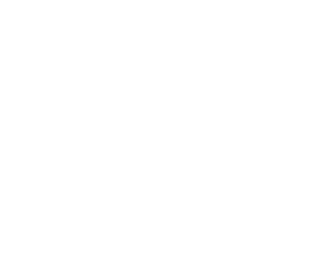 Synexis Consulting